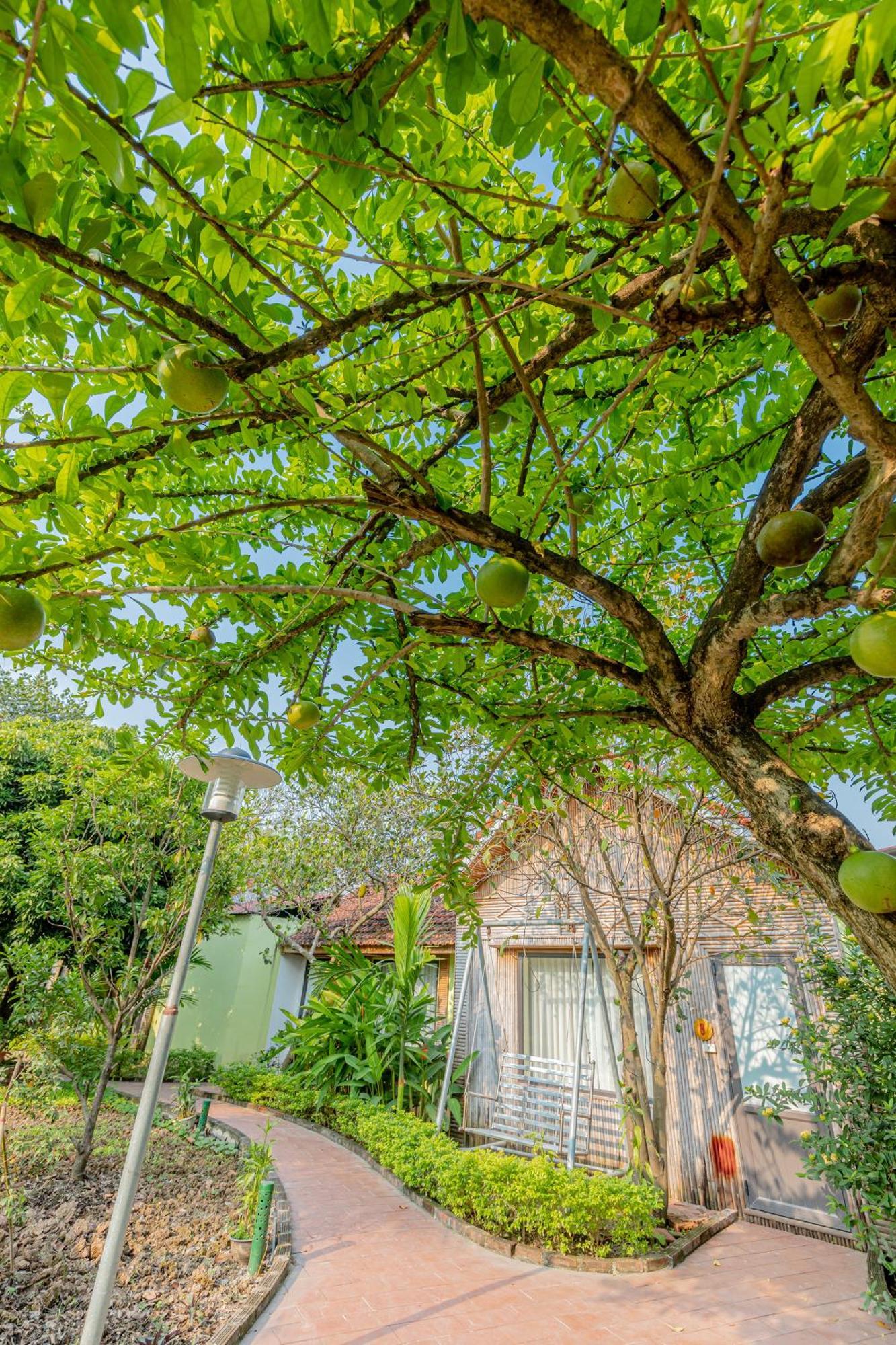 Tam Coc Green Garden Bungalow Ninh Binh Exterior foto
